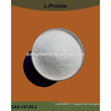 Amino acid bulk poudre l-proline / l proline GMP / Kosher